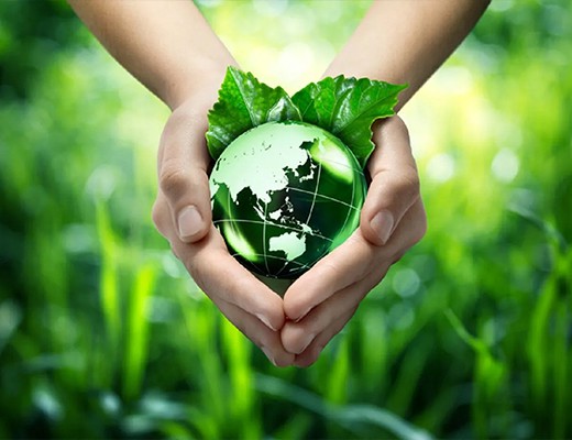 wpc eco environment wpc eco environment